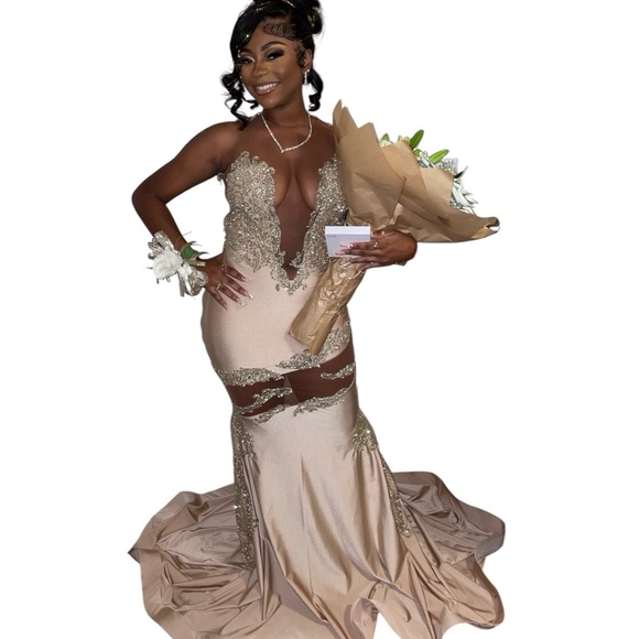 Custom Champagne & Gold Evening Prom Gown Dress, Formal Dress. - Picture 1 of 13